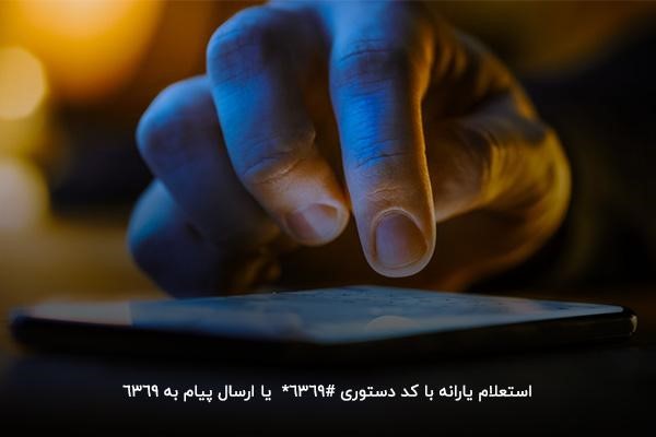 استعلام یارانه با وارد کردن کد ملی در کد دستوری 6369