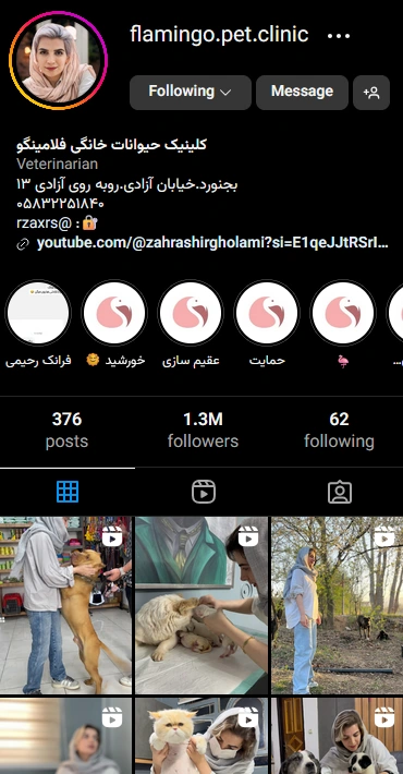 تبلیغ کلینیک دامپزشکی با اینستاگرام